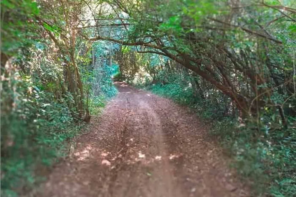 Ricardo Palacios, encargado de la Reserva Natural Tají Poty, confirmó la habilitación de los paseos guiados por la tarde, para el público en general, a la vez que advirtió sobre las consecuencias para el medio ambiente de la quema de pastizales