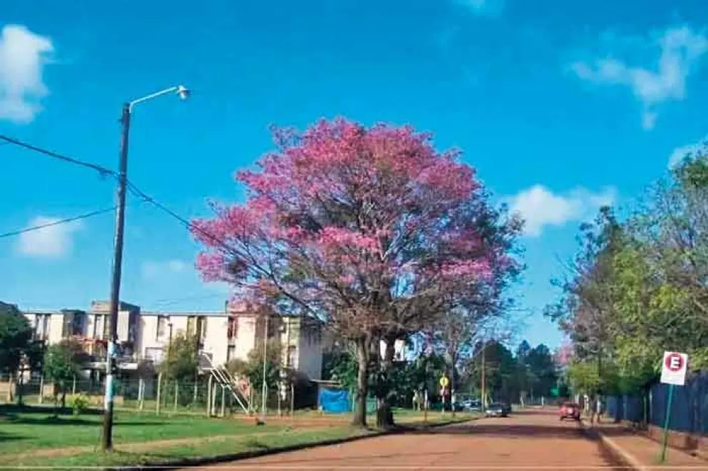 El 13 de mayo el populoso barrio Villa Cabello, de Posadas, emplazado en la zona Oeste, cumplirá 48 años. Por ello, se realizarán varias actividades virtuales y presenciales
