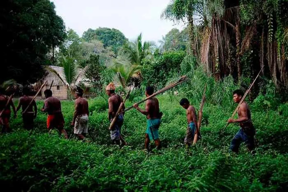 En 2017, los tsimanés, un pueblo indígena de la Amazonía boliviana, acapararon los titulares de los medios internacionales después de que la prestigiosa revista médica The Lancet publicara un estudio que reportaba que poseen los corazones más sanos del mundo