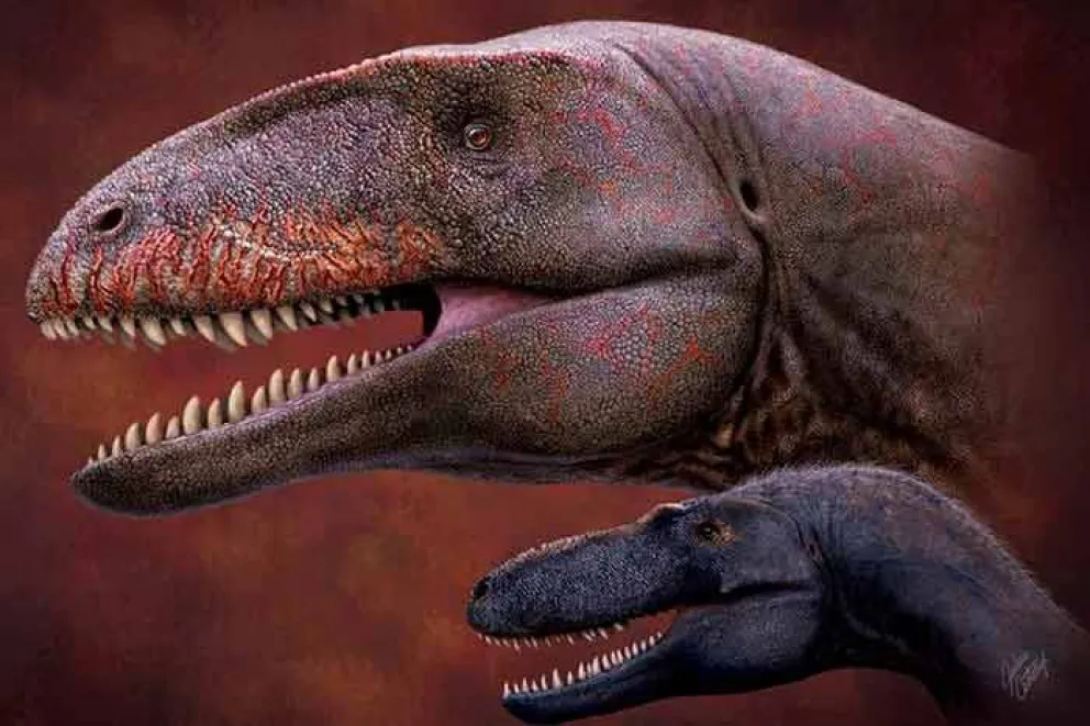 Los tiranosaurios no siempre fueron los carnívoros más grandes y feroces del mundo mesozoico