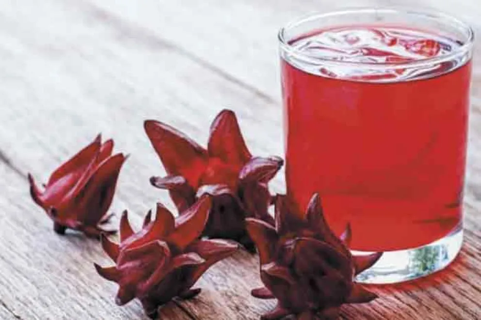 Para qué sirve tomar agua de Jamaica y cuál es la mejor hora para consumirla