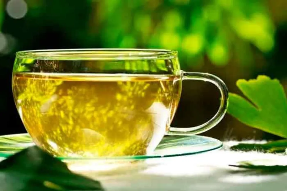 A qué hora conviene tomar el Ginkgo biloba y cuáles son sus beneficios