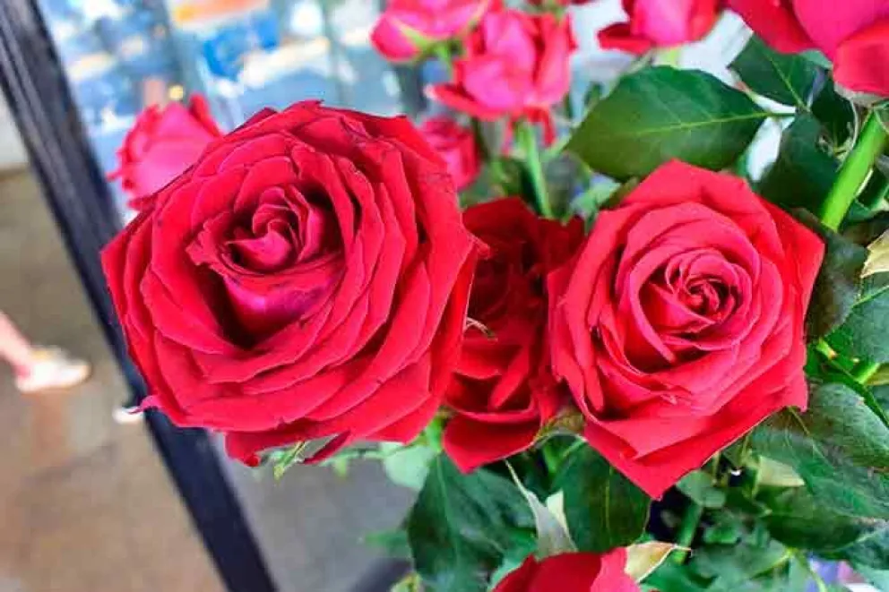 Una docena de rosas cuesta 30.000 pesos