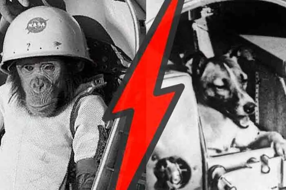 ¿Por qué Estados Unidos mandó chimpancés al espacio y la URSS eligió a los perros?