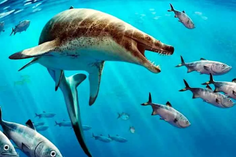 Descubrimiento prehistórico: el fósil de lagarto marino con dientes de daga