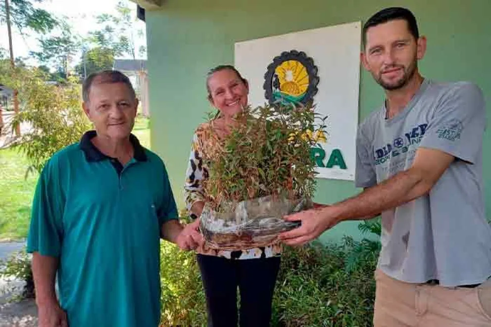 Entregaron plantines de eucalipto y brindaron asistencia técnica a más de un centenar de productores de diferentes municipios
