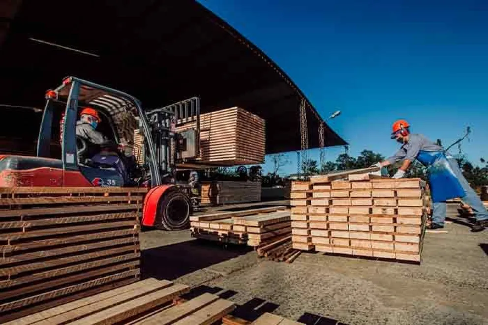 Misiones será sede de la jornada de difusión de los requisitos que entrarán en vigencia para todos los eslabones de la cadena forestal