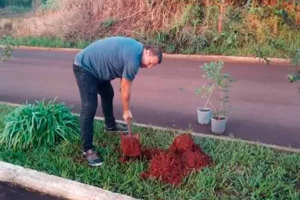 Para contrarrestar la deforestación