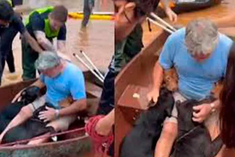 Conmovedor: un hombre arriesgó su vida para salvar a sus cuatro perros en las inundaciones de Brasil