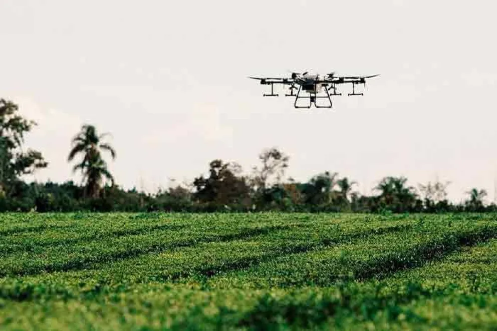 Drones agrícolas ahorran recursos y aumentan la eficiencia productiva en Misiones