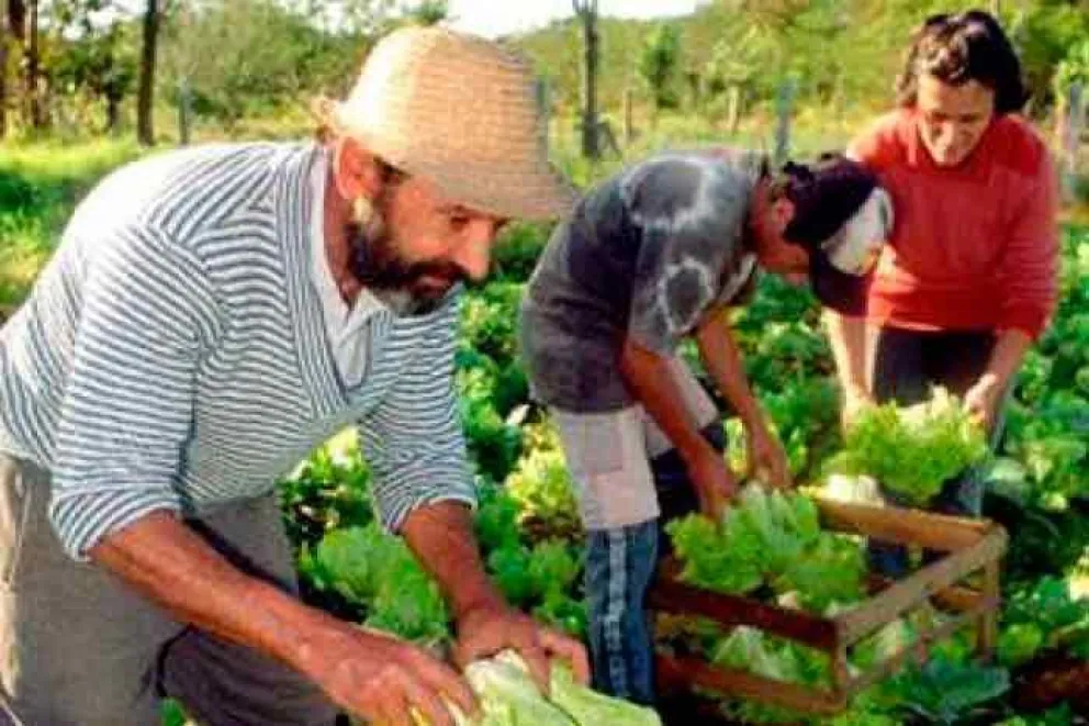 Más de 60 técnicos participarán en un ciclo de formación en agroecología