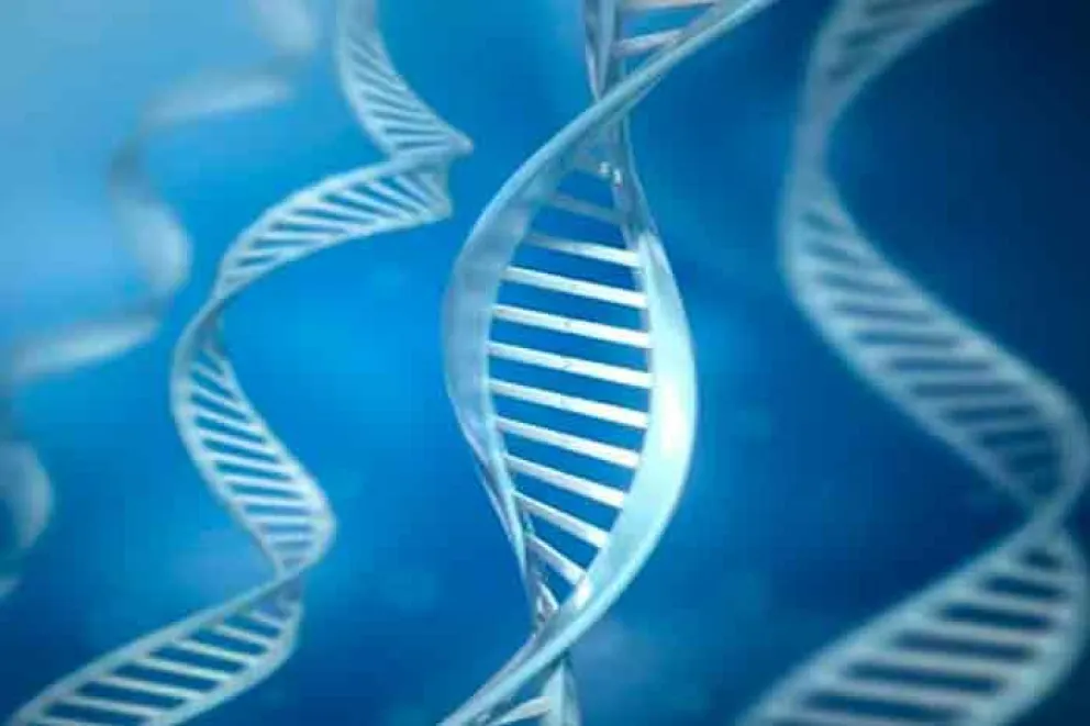 Primeros indicios de una cura con terapia génica para el herpes