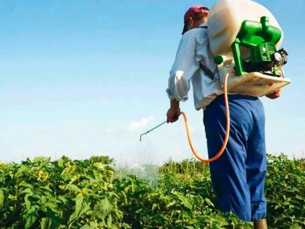 A través de un pronunciamiento 