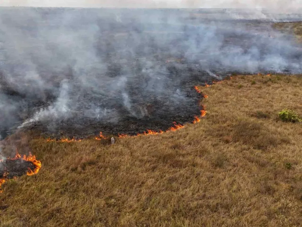 Instan a mantenerse en alerta