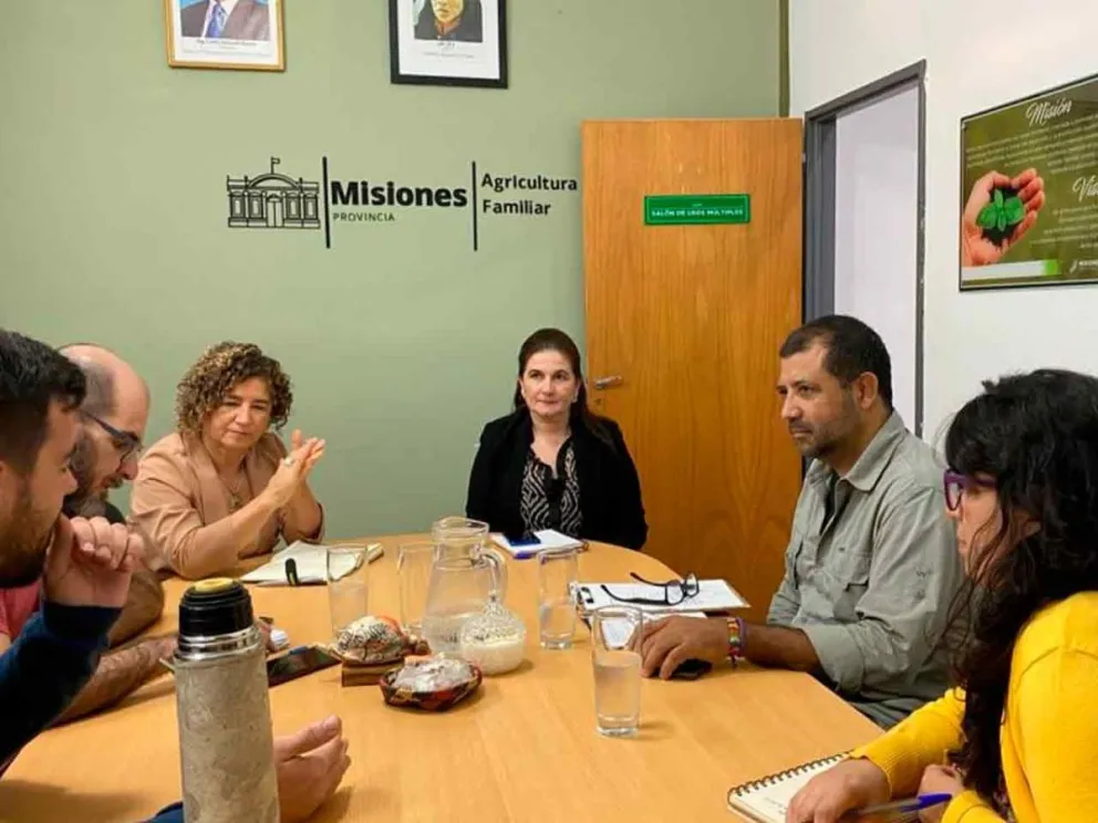 Primera reunión organizativa