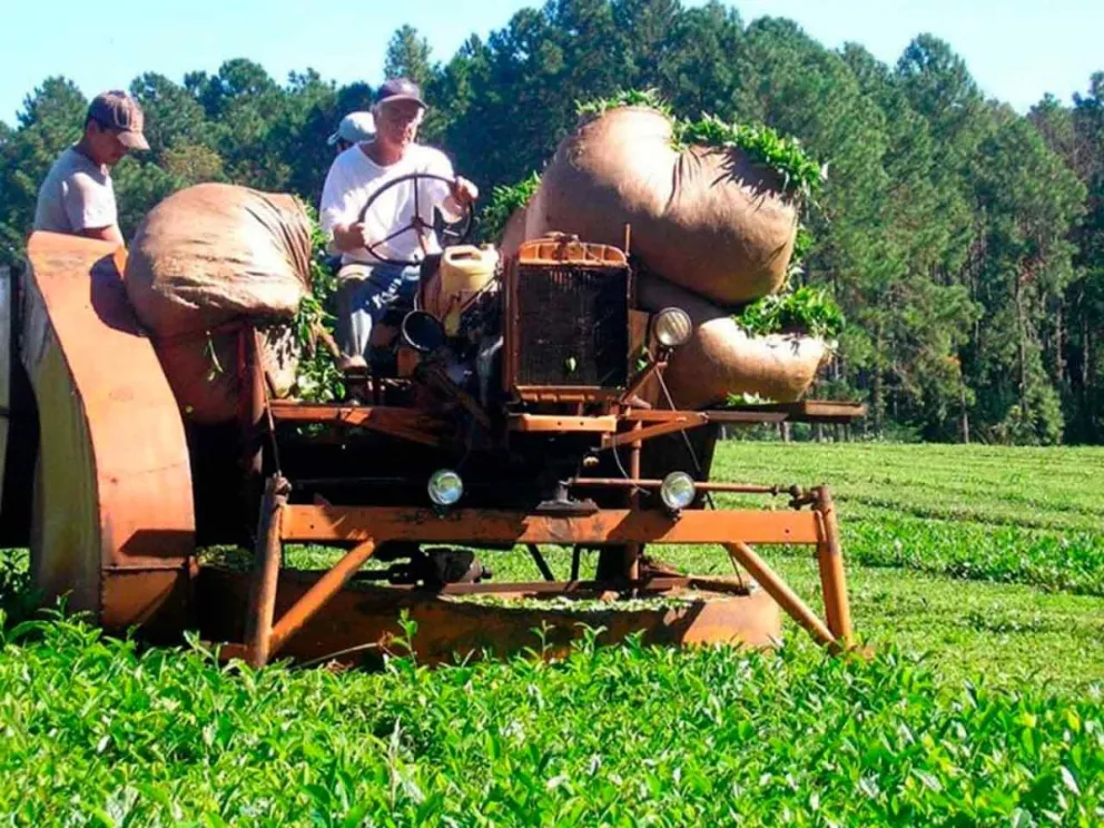 Planean tomar medidas para lograr el aumento 