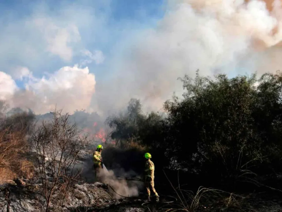 Provocó daños materiales