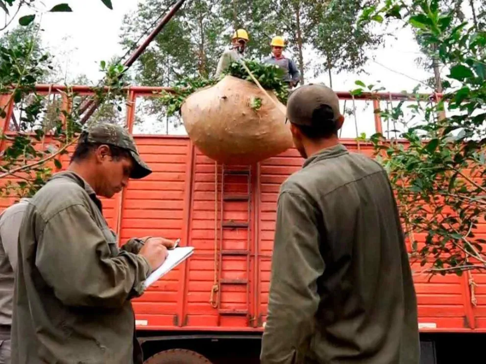 Escucharán a los productores