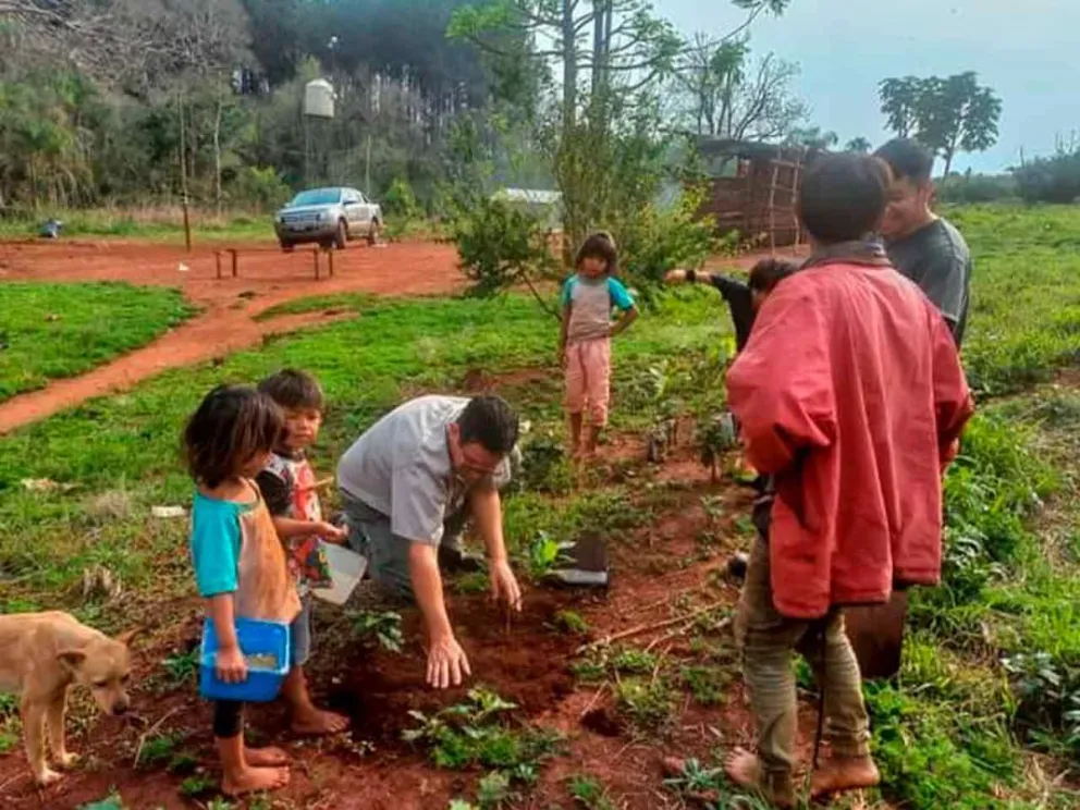 Contribuye al cuidado del ambiente 