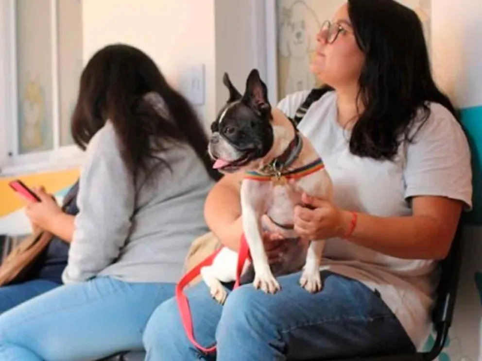 En diferentes puntos de la ciudad