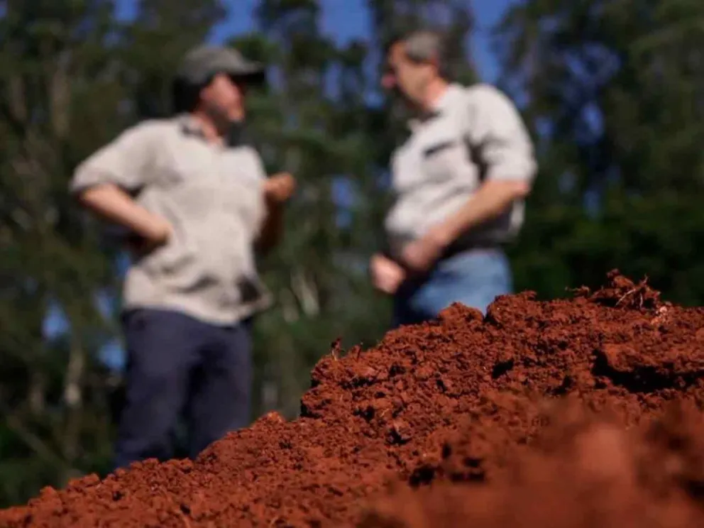 Según la herramienta Carta de Suelos 