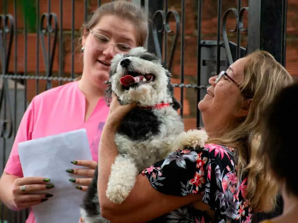 Compromiso con la salud de las mascotas