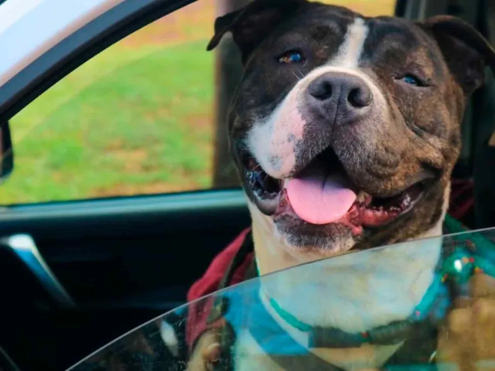 Hoy estará en la Chacra 192