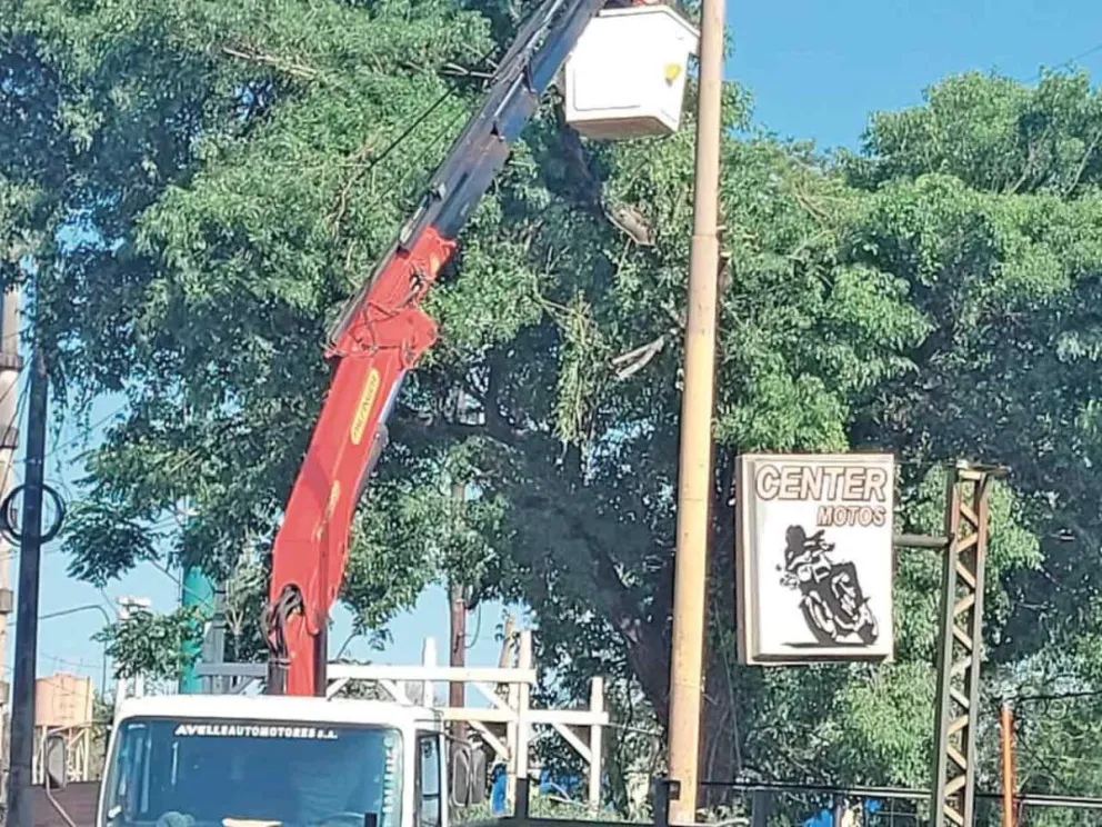 Trabajarán sobre la Línea 8