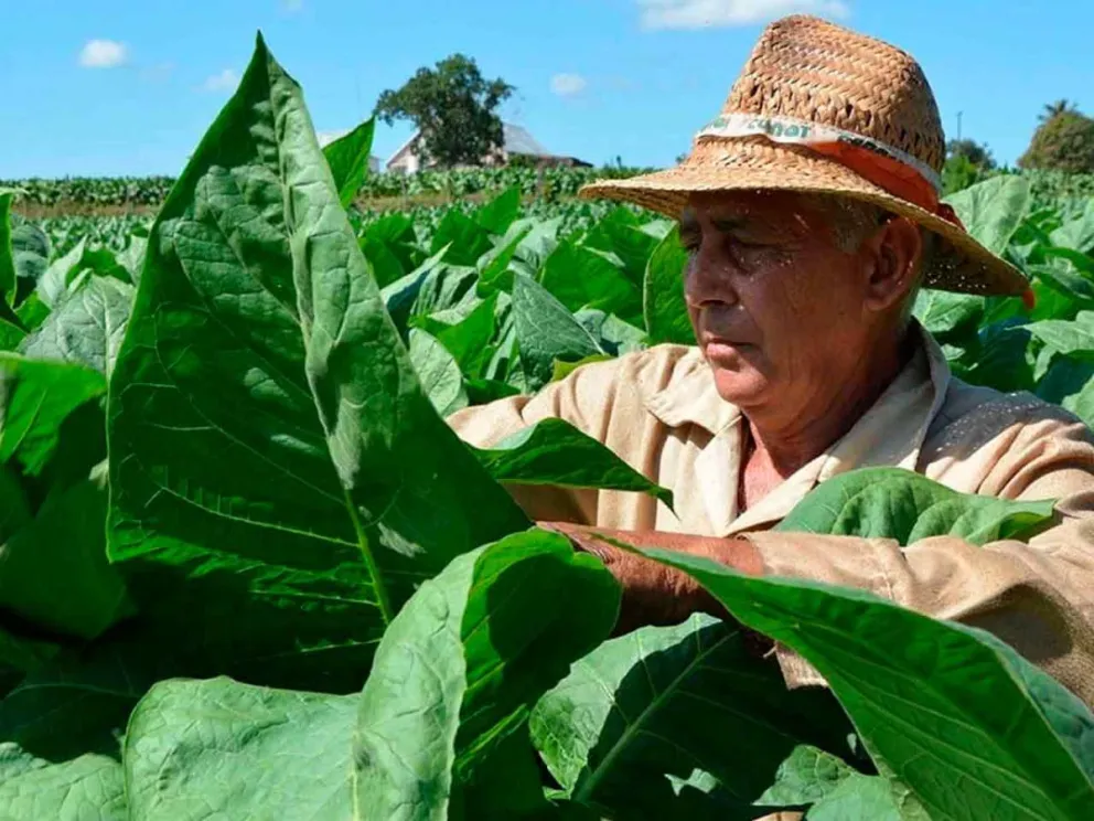 Hay grandes expectativas en el sector 