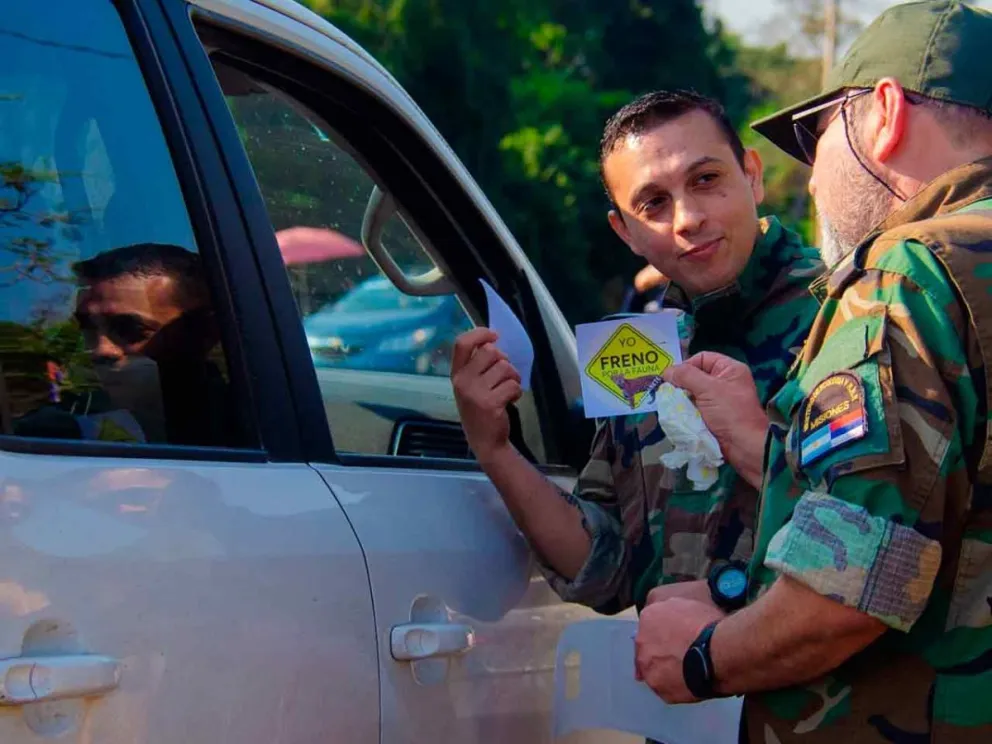 Campaña “Yo freno por la fauna”