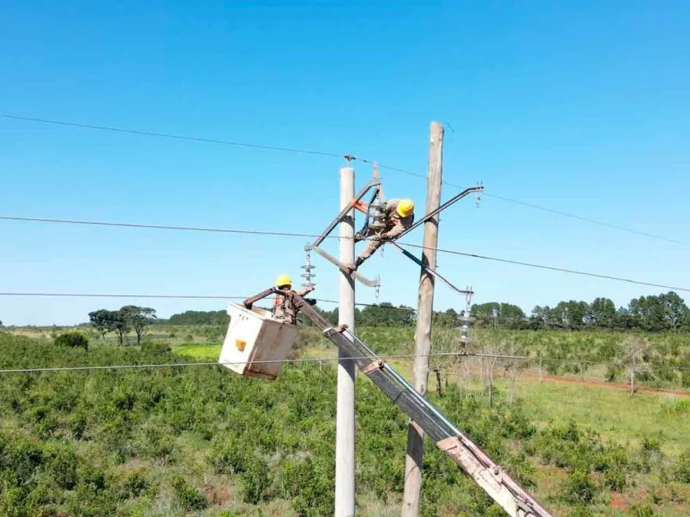 En el marco del programa Sustituir