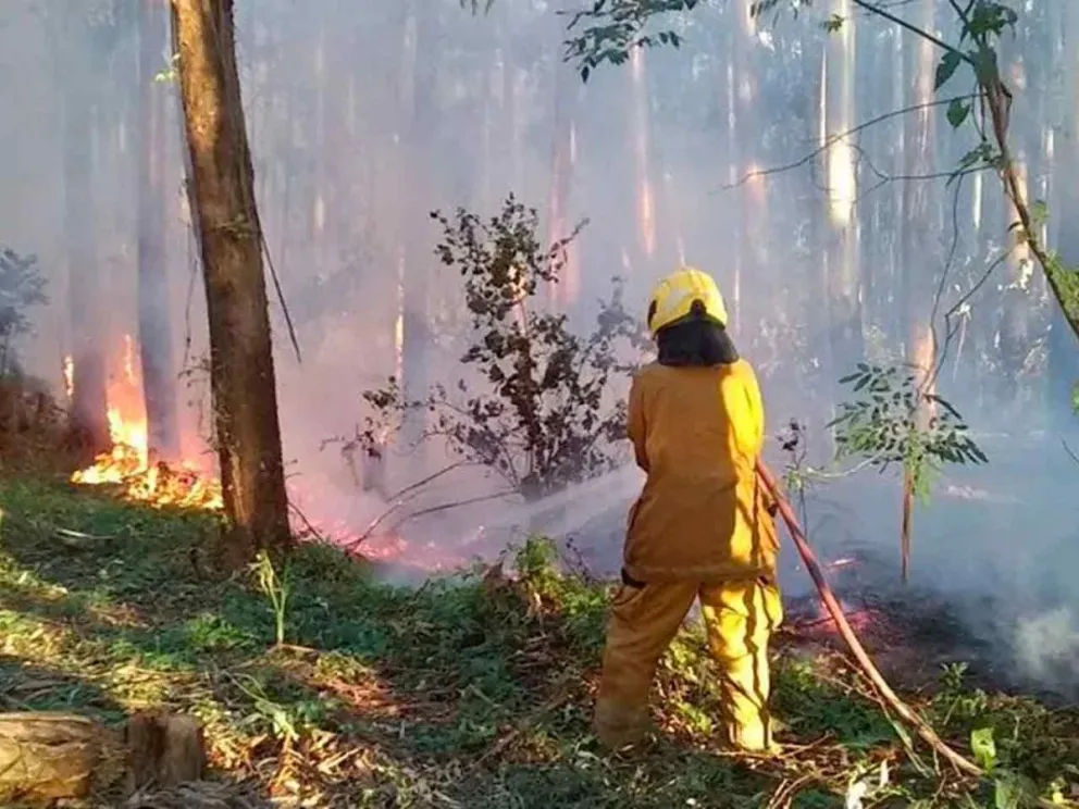 Apelan al compromiso ciudadano para evitar quemas 