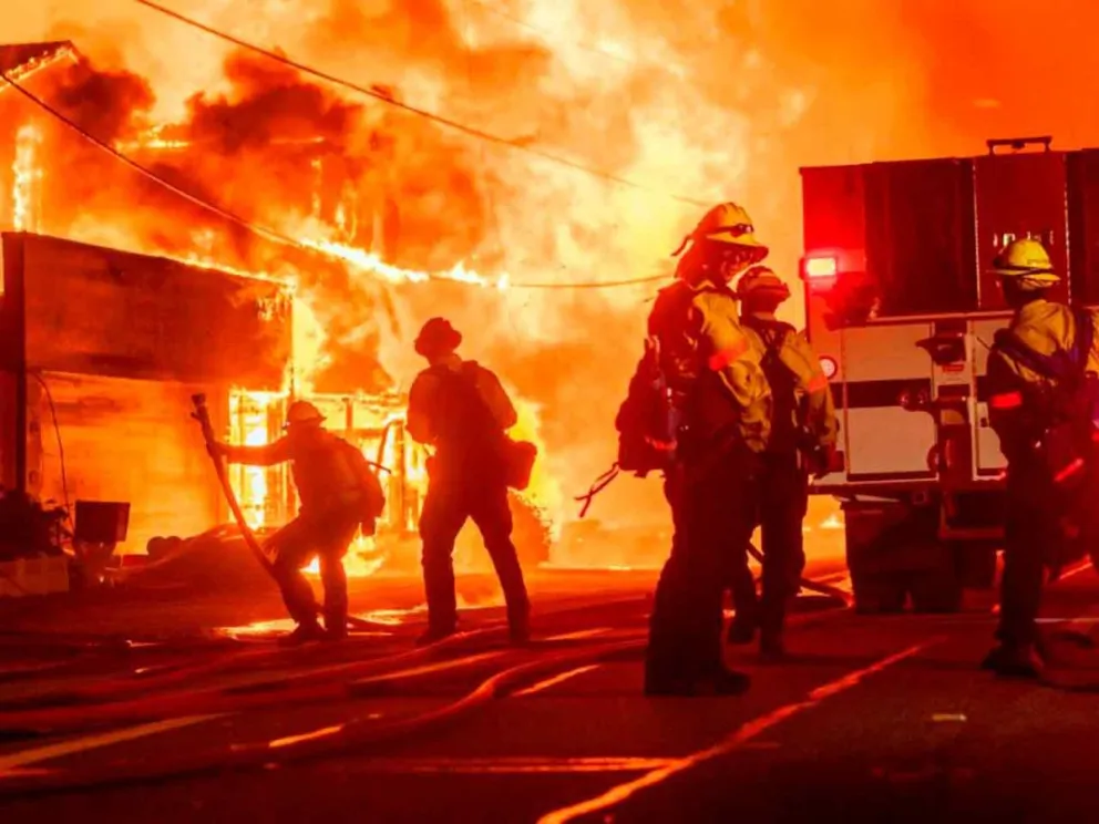 Ya han arrasado más de 15.000 héctareas 