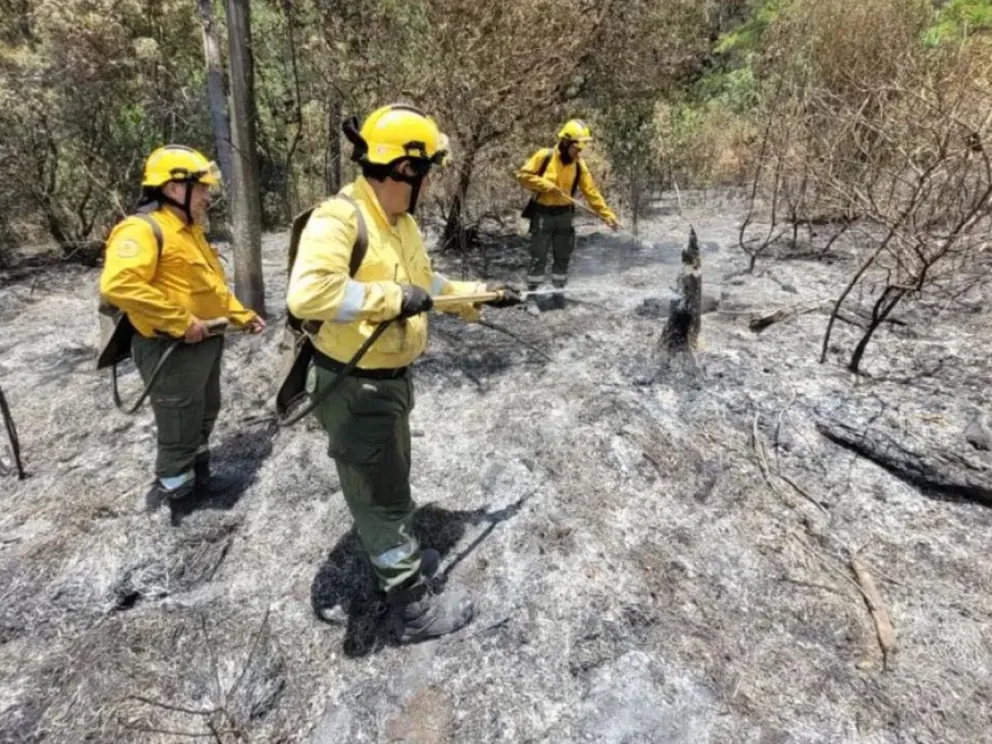 El fuego arrasó con 110 hectáreas