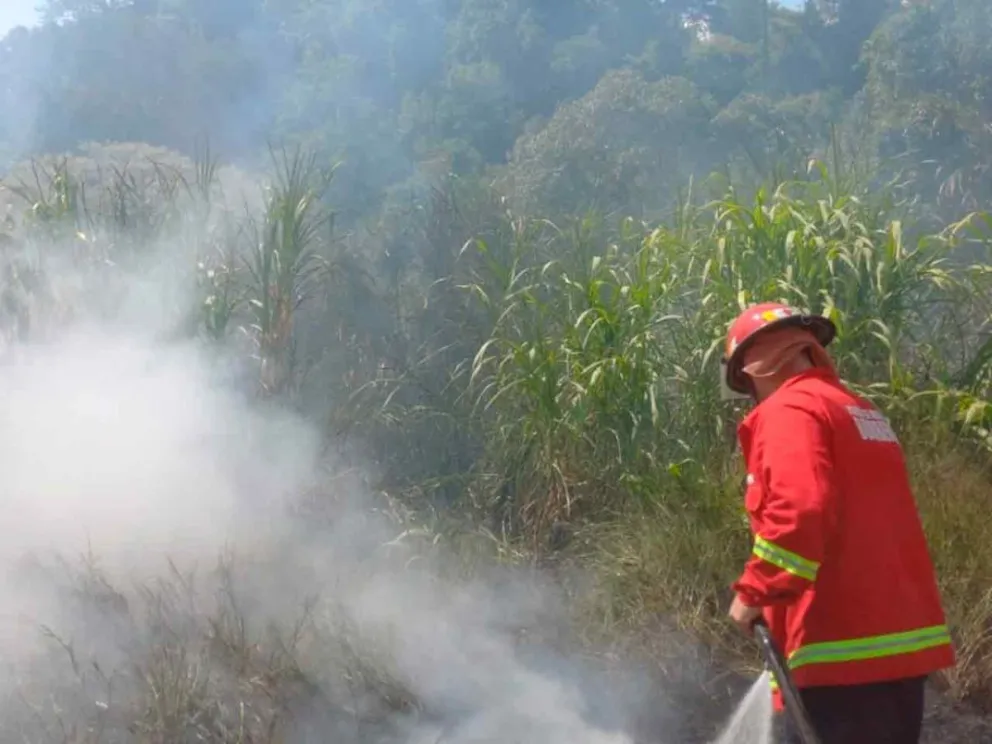 Ardua tarea para sofocar las llamas