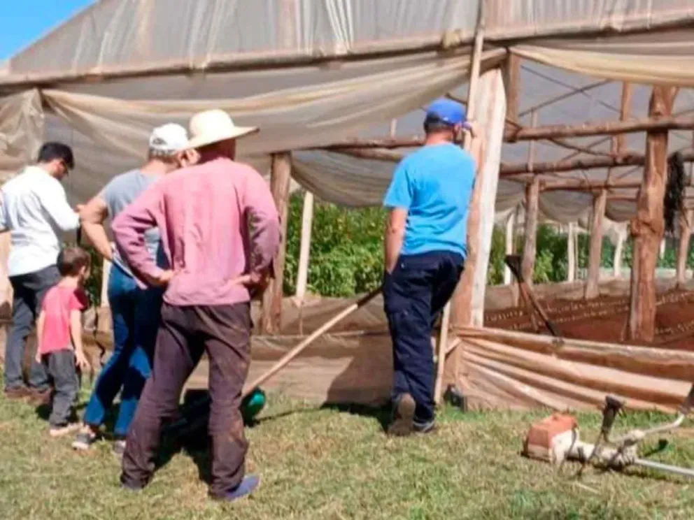 Identificaron necesidades y oportunidades