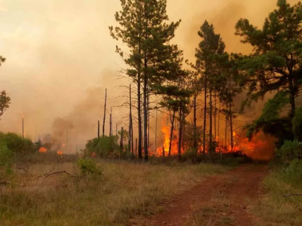 Operativos en diferentes partes de la provincia 