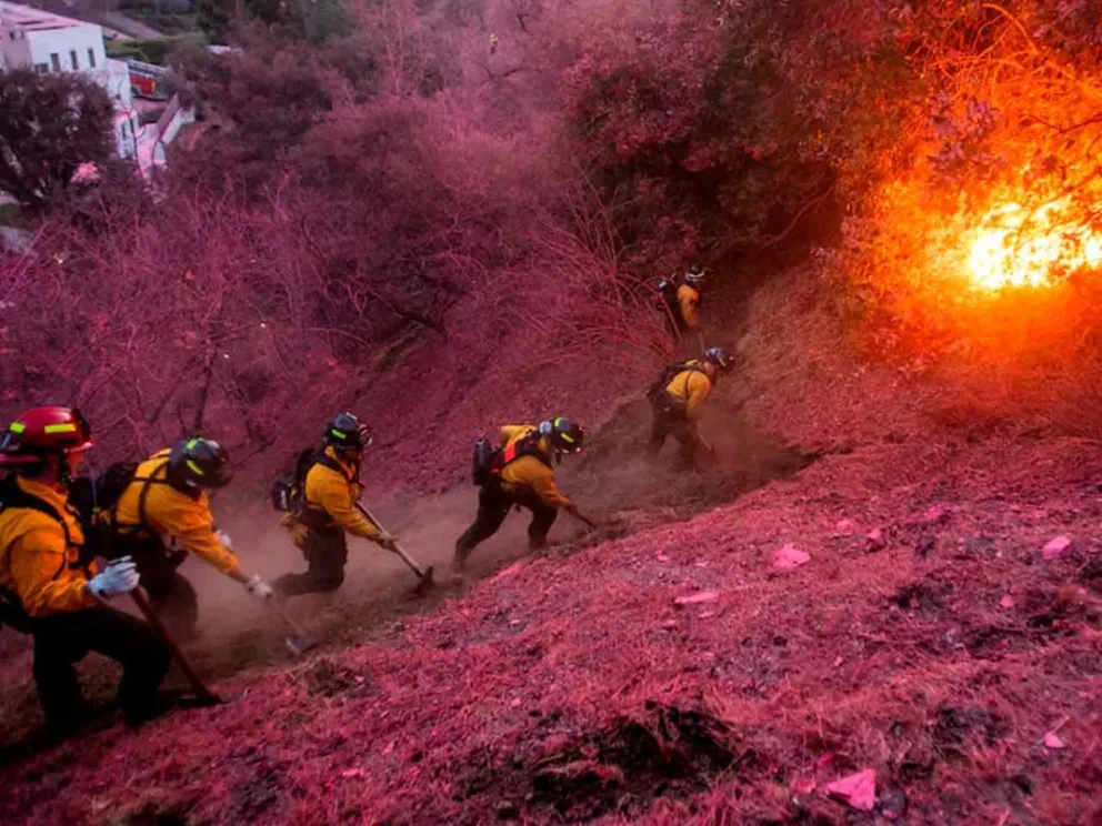 Alarmante situación