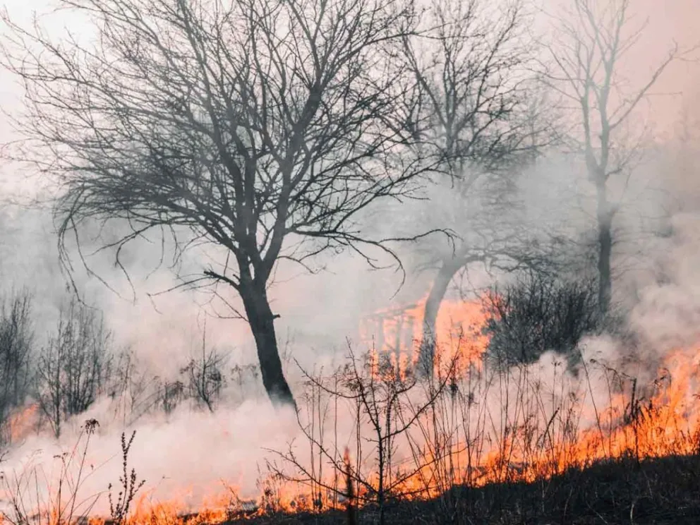 Los Bomberos de la Policía trabajan incansablemente