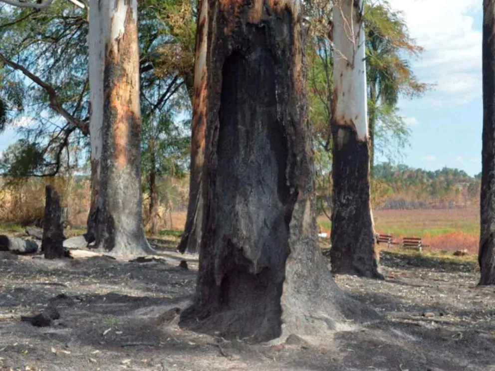 Continúa el estado de alerta