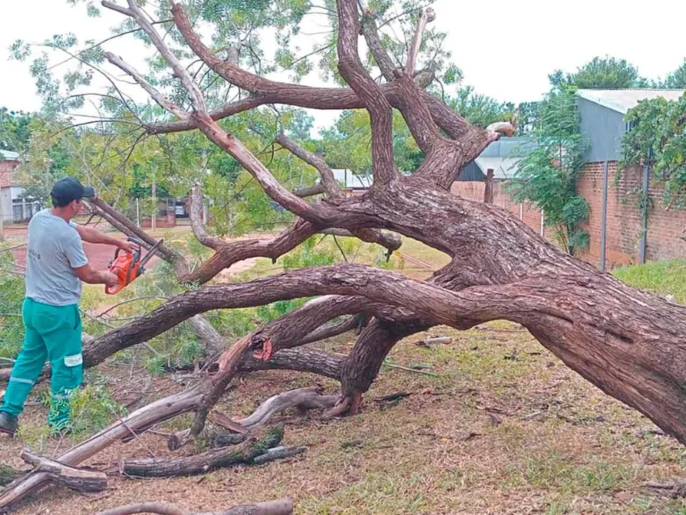 En distintos barrios de Posadas