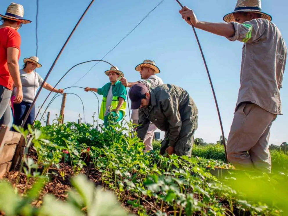 Buscan transformar los residuos en recursos aprovechables