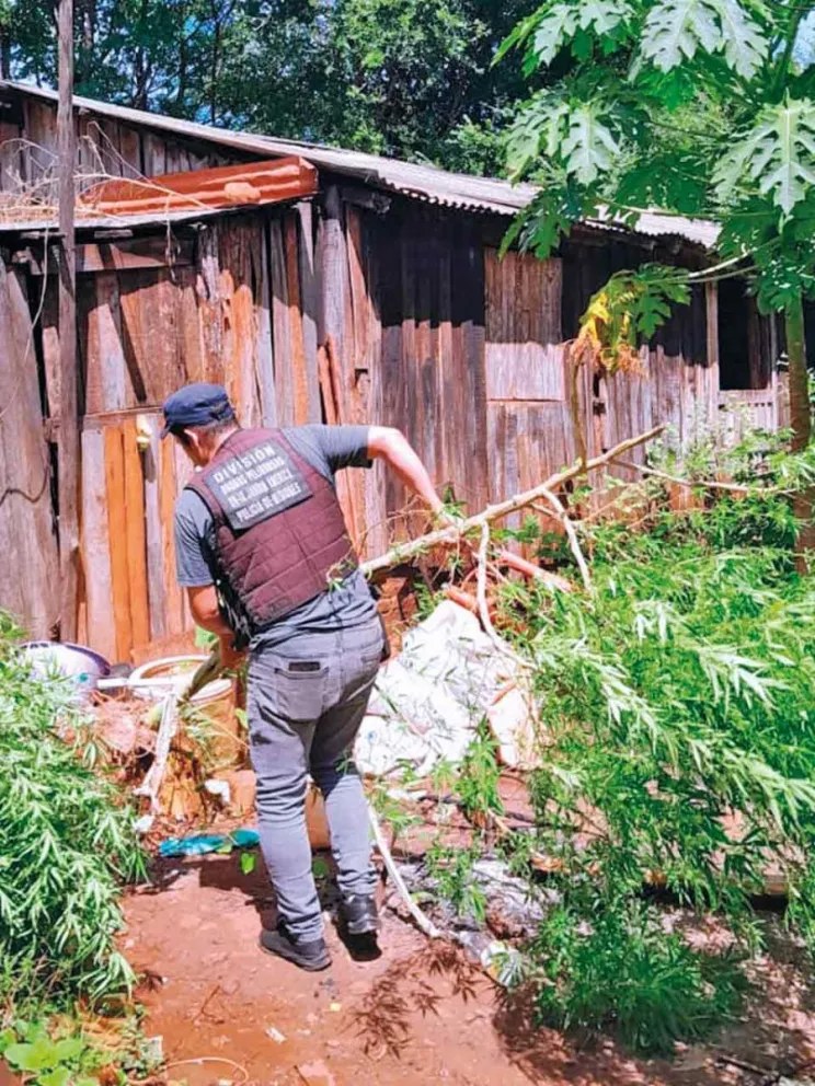 Uno de los operativos