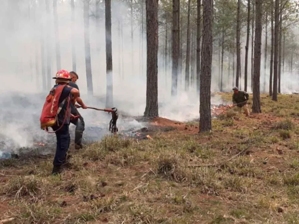 Instan a evitar la quema de residuos y malezas