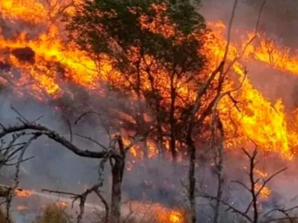Continúan los operativos de combate del fuego