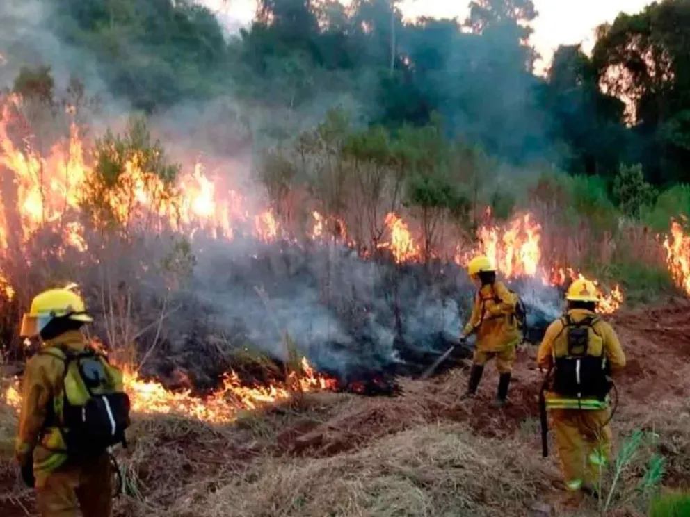 Apelan a la responsabilidad ciudadana
