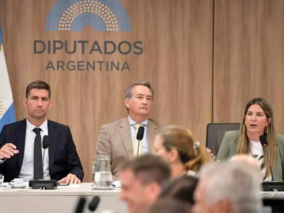 Logró reunir las 30 firmas necesarias