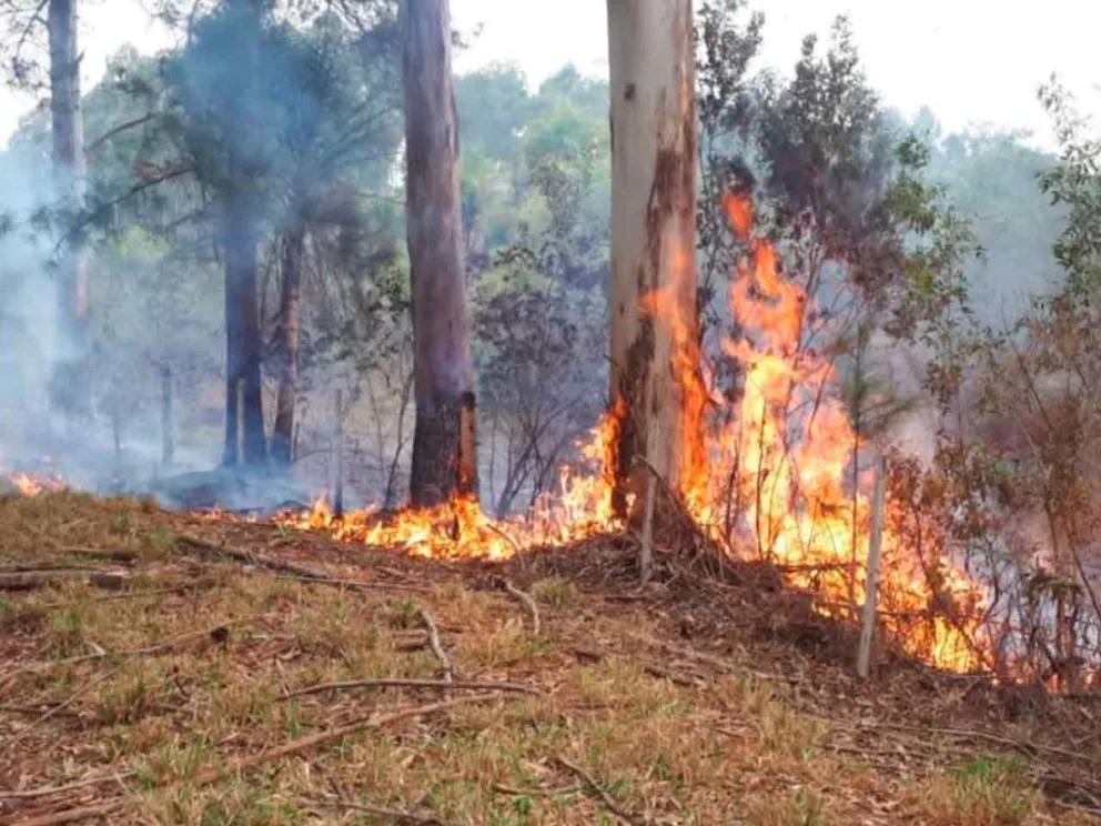 Advirtió Alerta Temprana 