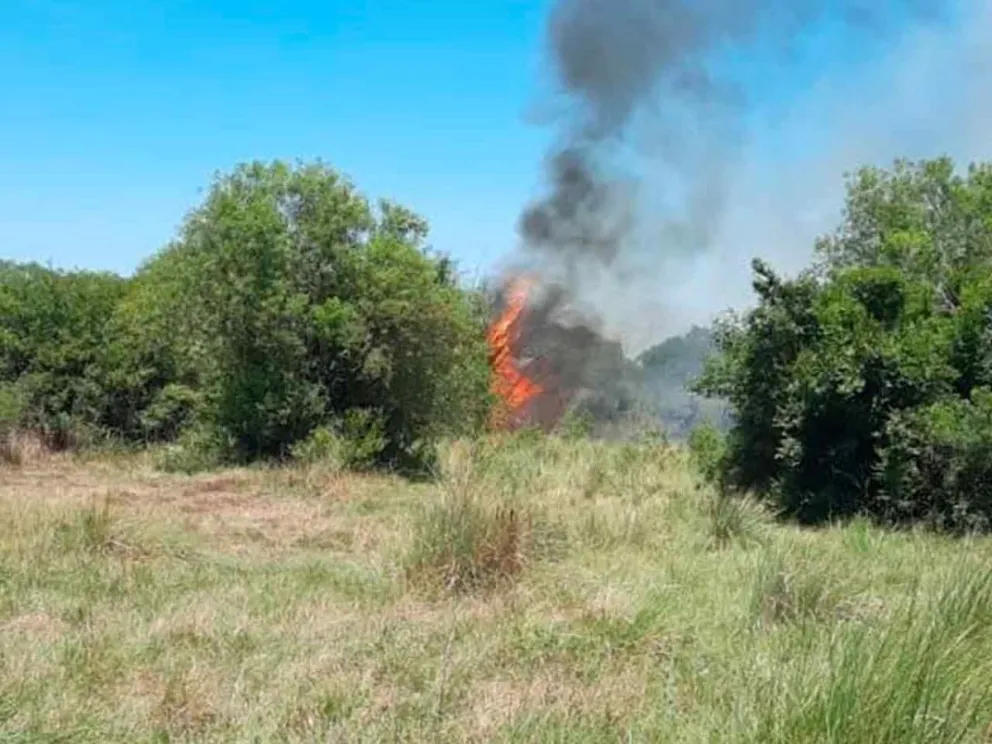 Evitaron daños mayores