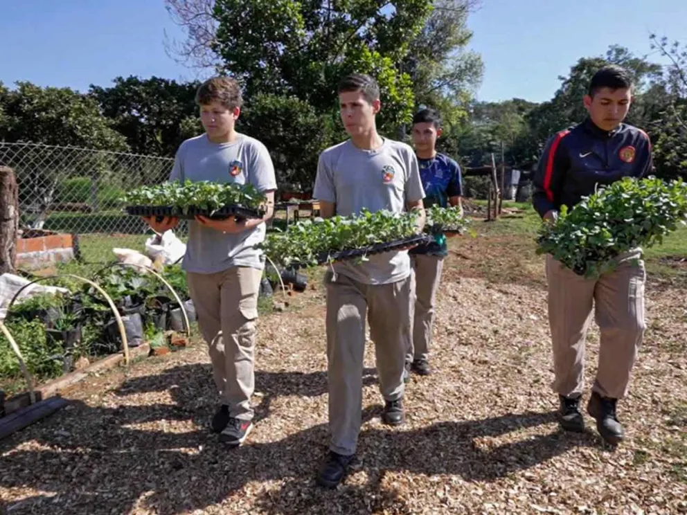 A través de diferentes programas